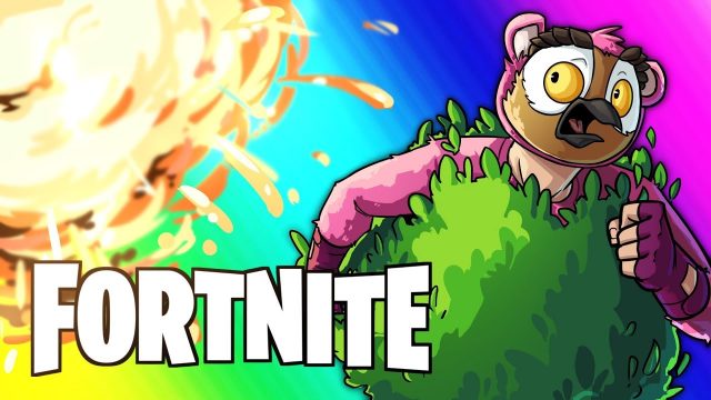 Fortnite Funny Moments – Skybridge Strategy and Wildcat Clutch!