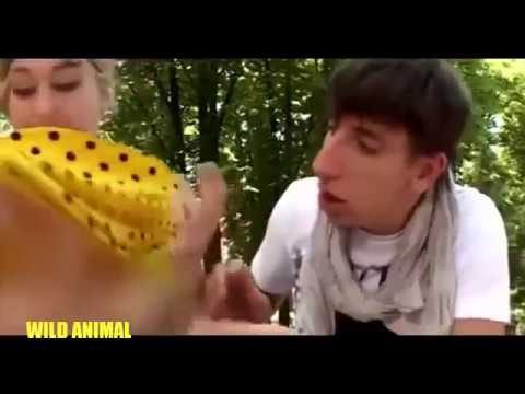 Just For Laughs Gags 2016 | Prank Videos 2016 | Funny Whatapp Videos Latest!!!