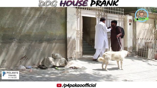 | DOG HOUSE PRANK | By Nadir Ali In | P4 Pakao | 2018