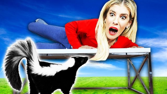 Worst Skunk Prank on Rebecca Zamolo in her House! Pranking wife for 24 HOURS in Real Life