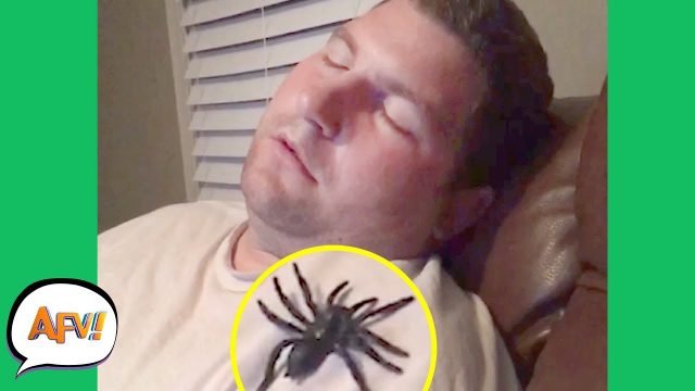 CREEPY CRAWLERS EVERYWHERE! | CREEPY Pranks | AFV 2019