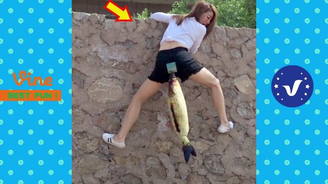 New Funny Videos 2020 ● People doing stupid things P130