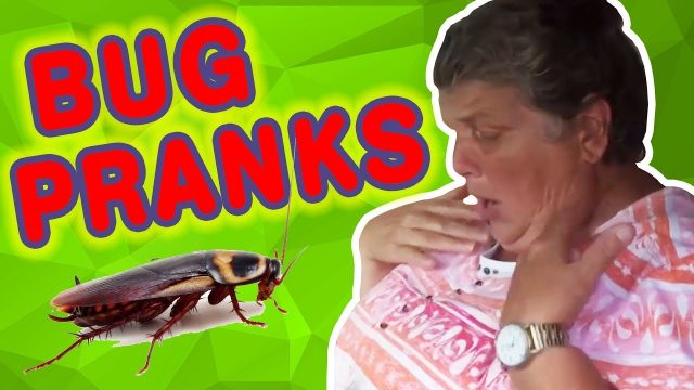 Try Not To Laugh at BUG PRANKS | Funny Prank Compilation