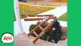 OMG She Took the Ladder DOWN TOO! 😂 | Funny Pranks & Fails | AFV 2020